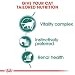 ROYAL CANIN INSTINCTIVE 7+ in Soße | 12 x 85 g | Alleinfuttermittel für ältere Katzen ab 7 Jahren | Zur Unterstützung der Vitalität | Instinktiv bevorzugtes Nährstoffprofil