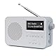 LEMEGA PR2-Max Tragbares Digitalradio DAB,Kleines Radio mit Netzstecker(DAB+,UKW,Bluetooth 5.3,Akku,Kopfhörer-Anschluss,40 Voreinstellungen,Doppelter Wecker,Einschlaf-Timer) Küchenradio DAB+,Grau