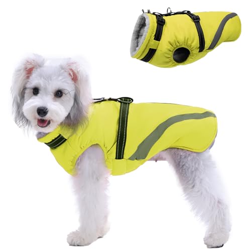 Lelepet  phR[g ~ ybg hWPbg g ߉\ H~  ˃Xgbv ȕR[g Ȃ h h  _EWPbg @ ^Kp (O[, S)