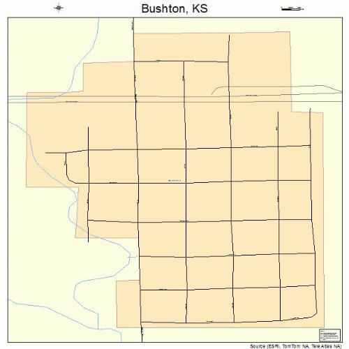 Large Street & Road Map of Bushton, Kansas KS Printed poster size