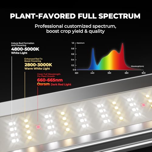 MARS HYDRO FC-E3000 300W