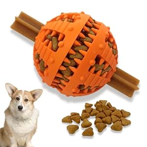 PawsOnly Dog Ball for Small Large Dogs Food Ball for Dogs Puppy Toy Natural Rubber Dental Care Dog Toys Dog Toy Intelligence Ball (Small 6 cm, Orange)