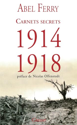 Carnets Secrets 1914 - 1918 (French Edition)