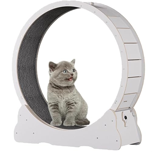 YQDDM Cat Exercise Wheel, Wooden Pet Treadmill Running Machine, with Brake Cat Interactive Toy, with Lock and Carpeted, Fitness Weight Loss Device for Cats(White,Medium)