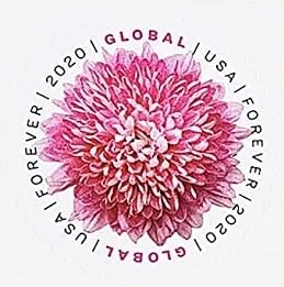 USPS Global International Mail Forever Postage Stamps (2 Sheets of 10)