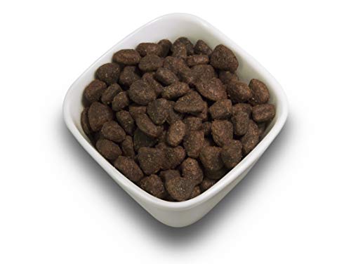 SALiNGO Hundefutter Probierpaket: Trockenfutter
