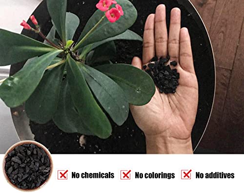 O-Farfarm Horticultural Charcoal For Potted Plants 1 Qt, Hardwood Charcoal For Potting Soil Amendment, Orchids, Terrariums, And Gardening #TOP1