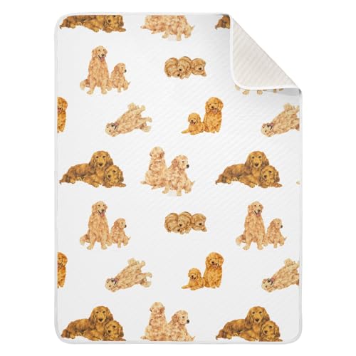 Image of Nnamluu 30"X40" Baby Cotton Blanket Golden Retriever Goldies Sets Nursery Blankets for Infants Receiving Blanket Swaddle Blanket