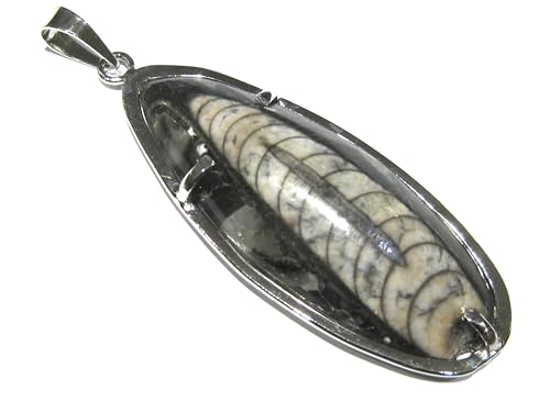 Pendentif Orthoceras en pierre fossile haut de gamme et finition soignée
