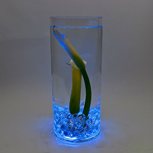 Image of Halloween Lights Submersible LED Lights cr2032 Battery Powered Underwater Waterproof LED Tea Light for Events Wedding Centerpieces Vase Floral Xmas Holidays Home Decor Lighting(Pack of 12) (Blue)