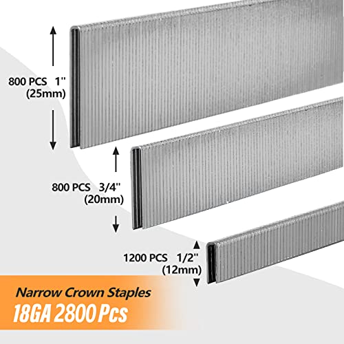 image for SITLDY 2800-Count 18 Gauge 1/4