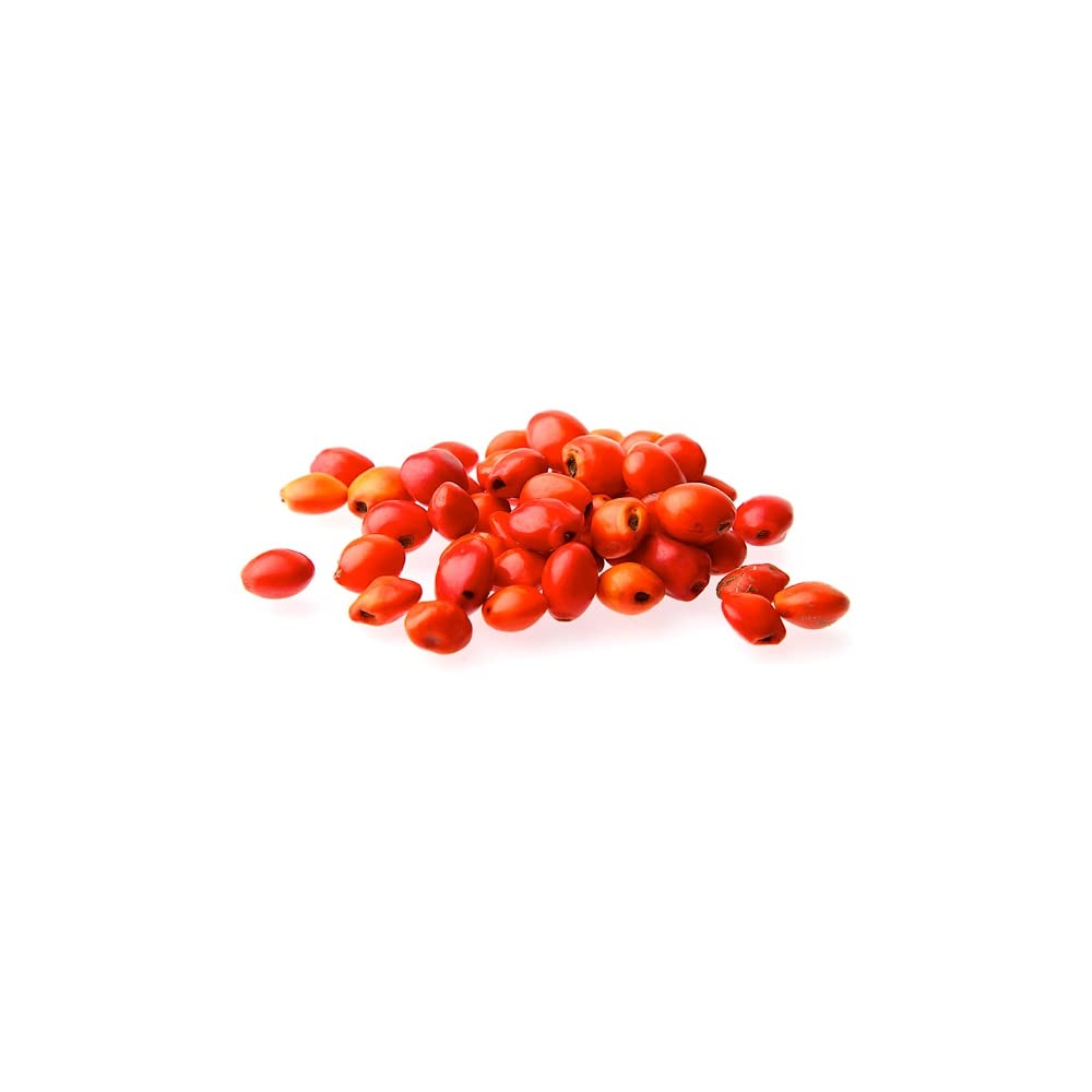 Sacred Essence Qero Paqo's Huayruro Orange Jungle Bead - Female 6-8mm (10 per packet)