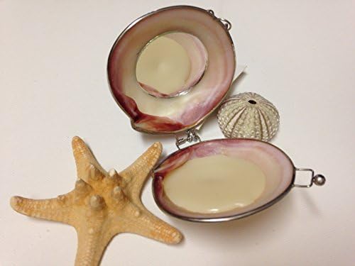 100% Natural Beeswax lip balm with organic moisturizing oils, packed in real beach shells, CERTIFIED ORGANIC handmade in Australia, Lip Balm Sea Shell Compact. (White Frangipani)