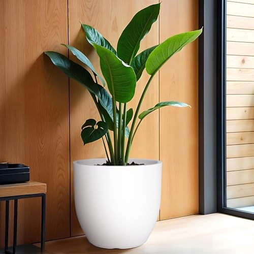 Image of YUCCABE ITALIA FOXB Pcup 15 Inch Pots for Plants Highly Durable Polymers Lightweight Indoor Outdoor Flower Pot Gamla Tree Planter Container Planters for Living Room, Balcony, Garden, Office, White