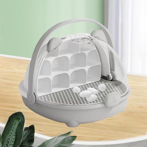 Contenedor de Gusanos de Seda Gris Caja de Cría y Observación Escolar 5