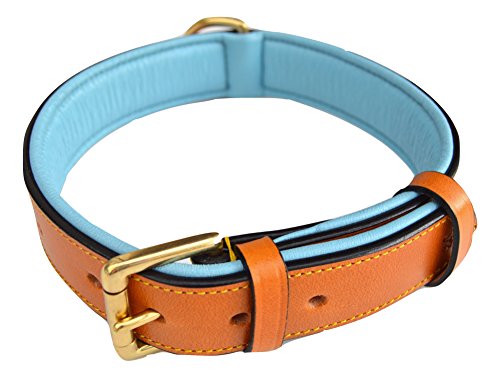 Soft Touch Collars Leather Padded Dog Collar, Large Tan With Teal Padding , Real Genuine Leather , 24" Long X 1.5" Wide , Neck Size 18" To 21" #TOP5