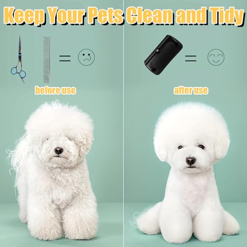 Fellwunder Bürste Hund, Hundebürste Kurzhaar, Fellbürste für Hunde, Effektive Haarentfernung für Kurzhaarhunde, Ideal für Reisen und tägliche Pflege Wunderbürste, Größe 146 mm x 68 mm x 35 mm