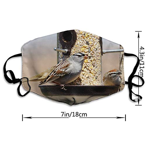 Fashion Face Cover Adjustable Elastic Band Hypoallergenic Face and Nose Cover for Pollen Smog Climbing (White-Crowned Sparrow, Zonotrichia) - Thumbnail 3