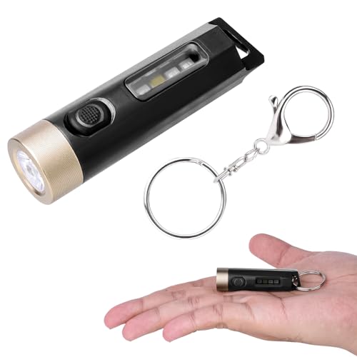 Lampe de poche rechargeable 200 lumens super lumineux avec 4 modes et UV