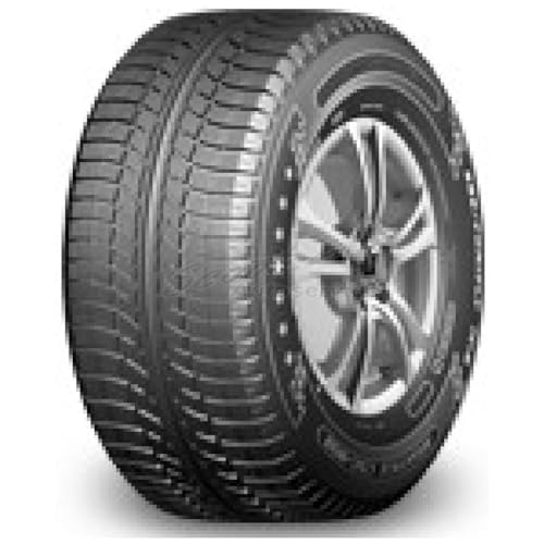 AUSTONE Pneumatici Gomme Austone Sp 902 195 60 R16C 99/97T TL Invernali per Furgoncini