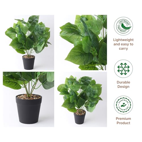 Image of Habere India-All the Cultures Fabricating India Tropical Philodendron Artificial Plants with Pot for Home Decor | Small Fake Plants for Living Room & Indoor Decoration (Design06: L9 x W9 x H40 cm)