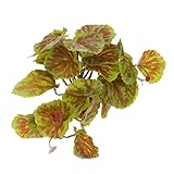 KAILIKETIY レジン製リアル爬虫類隠れ植物 爬虫類 両生類テラリウム装飾 隠れ家付き動的環境演出 ペットストレス軽減用人工観賞植物