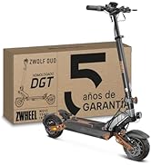 Chargeur GO SOLID! Pour Trottinette Zwheel T4 ZRino Et ZCougar T8