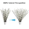 VirtuGro 40 Stems Pussywillow Branches for Vases Real Dried 17IN White Dried Flowers for Vase Natural Snow Pussywillows for Easter Wedding Home Party Hotel Fireplace DIY Decor #3