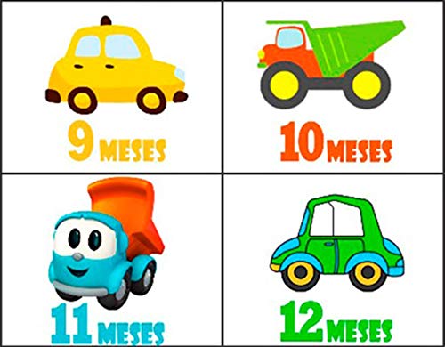 Kit Body de Bebê Mês Aniversário Carrinhos 12 Bodies