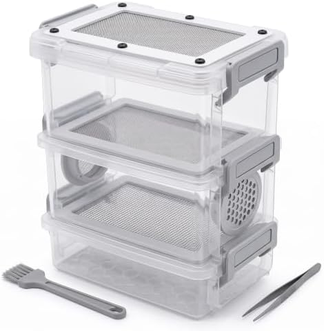 Mealworm Breeding Kit - 3-Layer Frass Separator for Reptiles