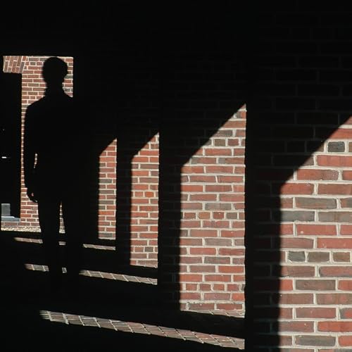 What Happened to Vladimir Alexandrov?