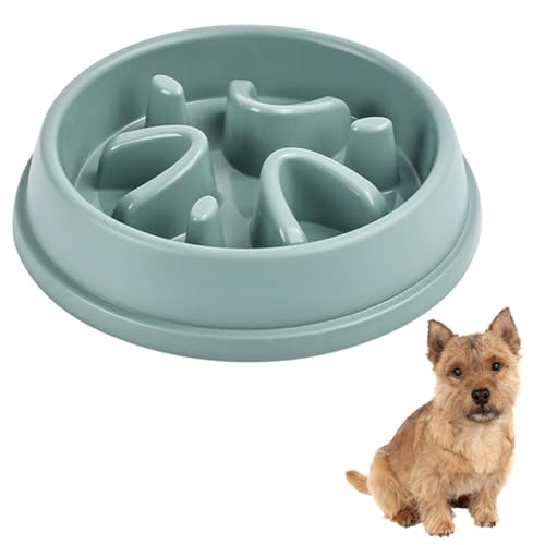 Lifetips m[b`eAiNorwich Terrierj ybgpX[t[h{E Lp Hh~  Փx ~ 􂢂₷ NǗ 킢fUC iA^Cv ~gO[j