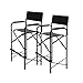 Impact Canopy Tall Folding Director's Chair, Heavy Duty, Set of 2 Chairs, Black