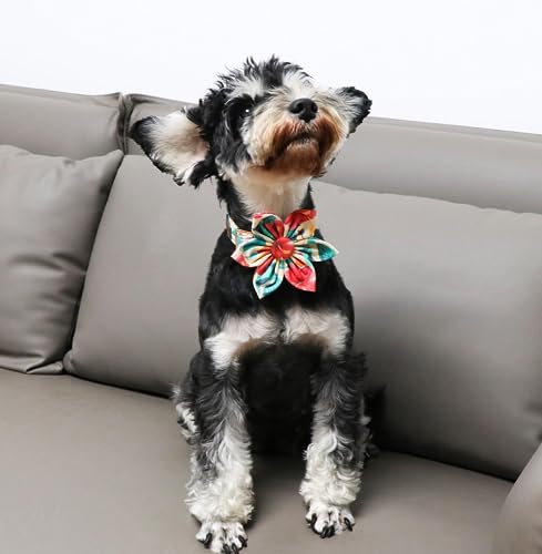 Unique style paws Dog Collar with Flower, Colorful Flower Collar - Image 4