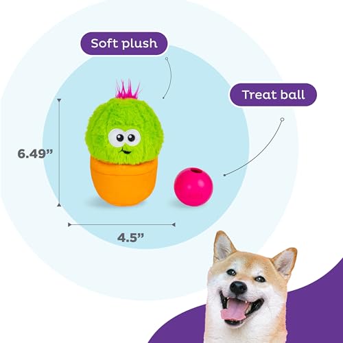 Outward-Hound-by-Nina-Ottosson-Snack-Palz-Interactive-Plush-Dog-Puzzle-with-Treat-Ball-Cactus-Green Outward Hound by Nina Ottosson Snack Palz Interactive Plush Dog Puzzle with Treat Ball Cactus Green