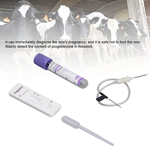 Image of Bovine Cow Rapid Early Pregnant Pregnancy Test Kit with Colloidal Gold Method, & Fully Equipped, Suitable for Cows Over 28 Days Old, Dairy Livestock