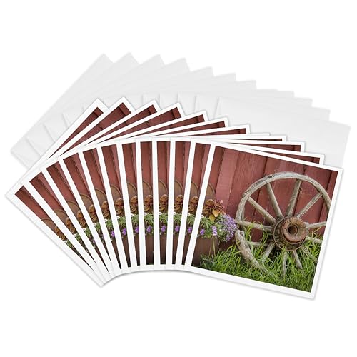 Cartes de vœux vintage haut de gamme 3dRose gc_313015_2 imprimées