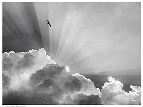 Buyartforless Heavenly by Eve Turek 14x11 Photograph Art Print Poster Artistic Clouds with Sun Rays and Bird