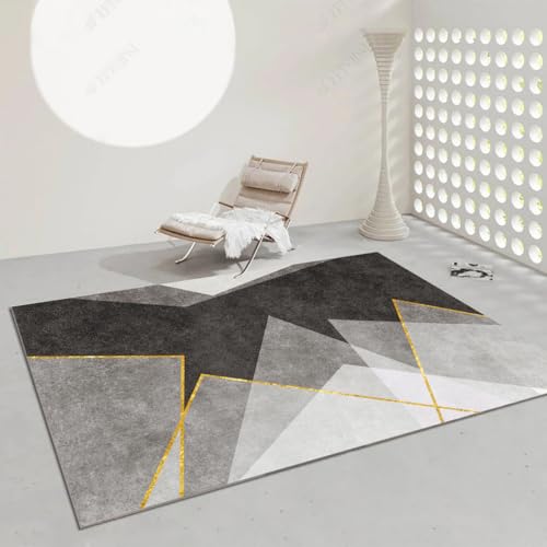 �uFrisence�v���O �J�[�y�b�g �􂦂� �̎╗ ����~�ߕt�� �h�� �h�� ���g�[�Ή� �z�b�g�J�[�y�b�g�� �}�C�N���t�@�C�o�[ ��z�R�� �i�`������ ����������� ���r���O �Q�� �a�� 160×230cm FRISY28-D27