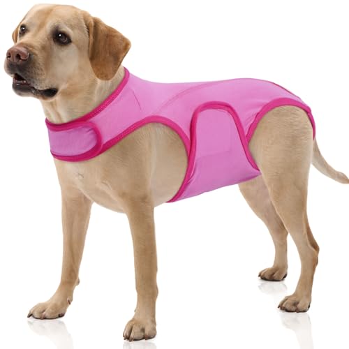 FUAMEY Dog Surgery Suit Female Spay, Male Neuter, Post Surgery, Period Protection, Potty Training, Pink XL XL(Back:19in) Pink