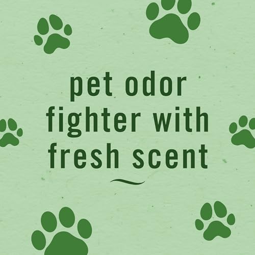 Image of Febreze Air Mist, Air Freshener Spray, Odor Fighting Room Spray, Deodorizer for Home Bathroom Kitchen Apartment, Pet Odor Fighter Fresh Scent, 8.1oz (Pack of 3)