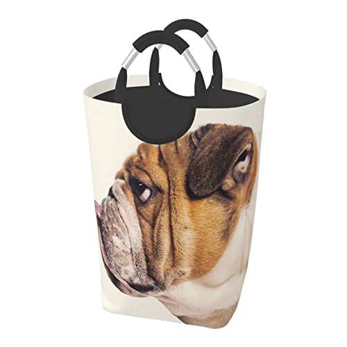 uhbO h[oXPbg h[ {bNX [{bNX [obO  ȃCeAG ht ܂肽 e 32×58icmj