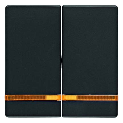 Tecla dobles con indicador luminoso, Q.1/Q.3, antracita, aterciopelado
