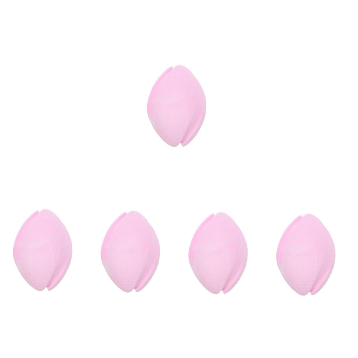 Angoily 5pièces Ballon à Mâcher pour Chiens Jouet De Dentition Flottant pour Chiots Petits Moyens Et Chiens pour Jouer Et Mastiquer