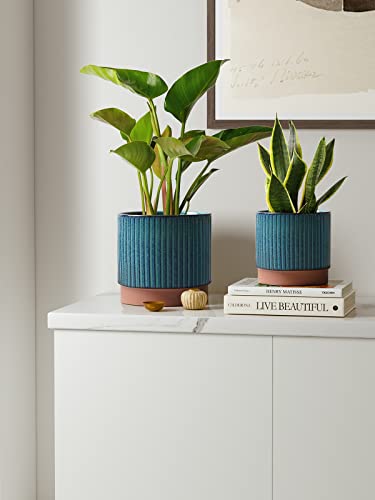 Image of LE TAUCI Ceramic Plant Pots with Drainage Holes, Set of 3, 8+6.7+5.5 Inch Stripe Garden Planter Pots for Outdoor Indoor Plants Flower, Round Succulent Orchid Flower Pot, Reactive Glaze Green
