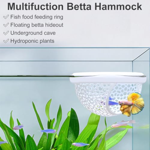 Image of Floating Betta Hammock and Feeding Ring, Aquarium Beta Hideout, Cave, Bed