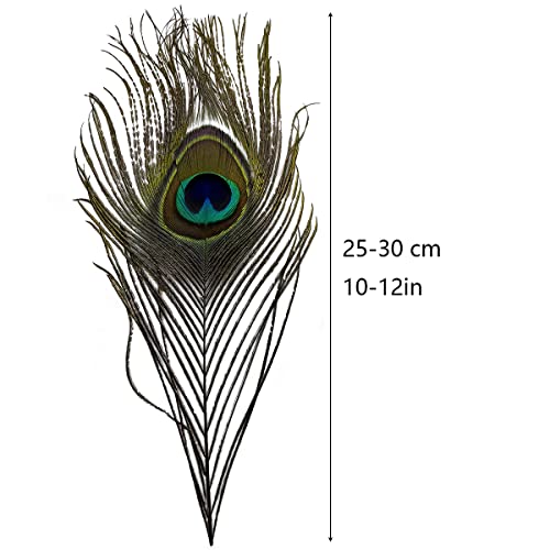 Natural Peacock Eye Feathers 10"-12" Tail Feather For Wedding Holiday Decoration Home Decor Hat Diy Craft (10Pcs) #TOP1