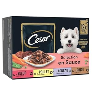 CESAR Repas pour Chien – 48 Sachets Fraîcheur (Lot de 4 Packs 12x100g) – Pâtée pour Chien en Sauce – Boeuf / Poulet / Agneau / Dinde – Nourriture Complète & Equilibrée avec des Ingrédients Naturels