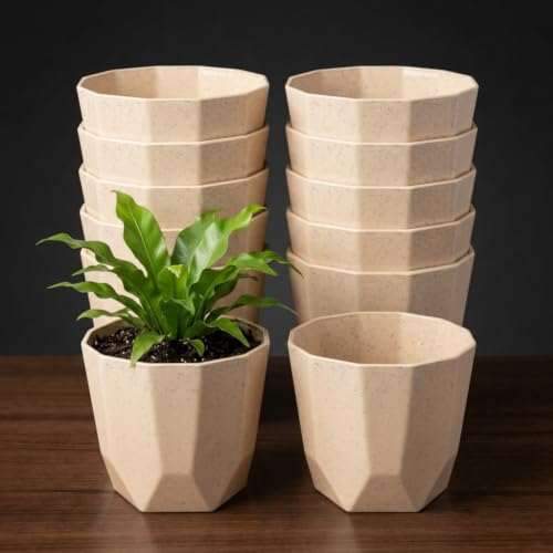 Image of YUCCABE ITALIA SHERA Hexa Flower Pot, Stone Beige, 8 Inch, 12 Pcs | Plastic, Drainage Holes, Round Planter, Indoor Outdoor, Kitchen Garden