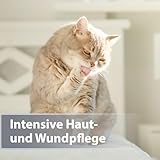 Felisept Mikro Silberspray für Katzen 75ml - Silberspray Katze gegen Juckreiz, Wundspray Katzen, Schmerzfrei & ohne Aluminium & kolloidales Silber, Einfache Anwendung